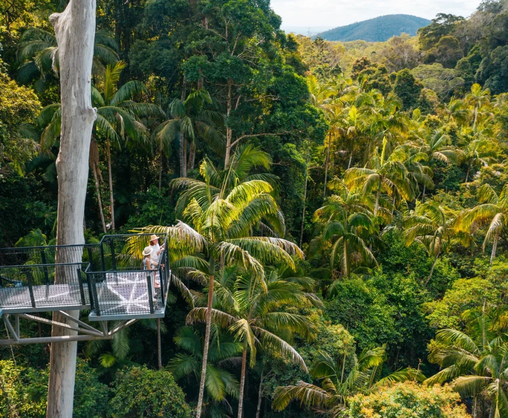 2022 Top winner Tamborine Mountain